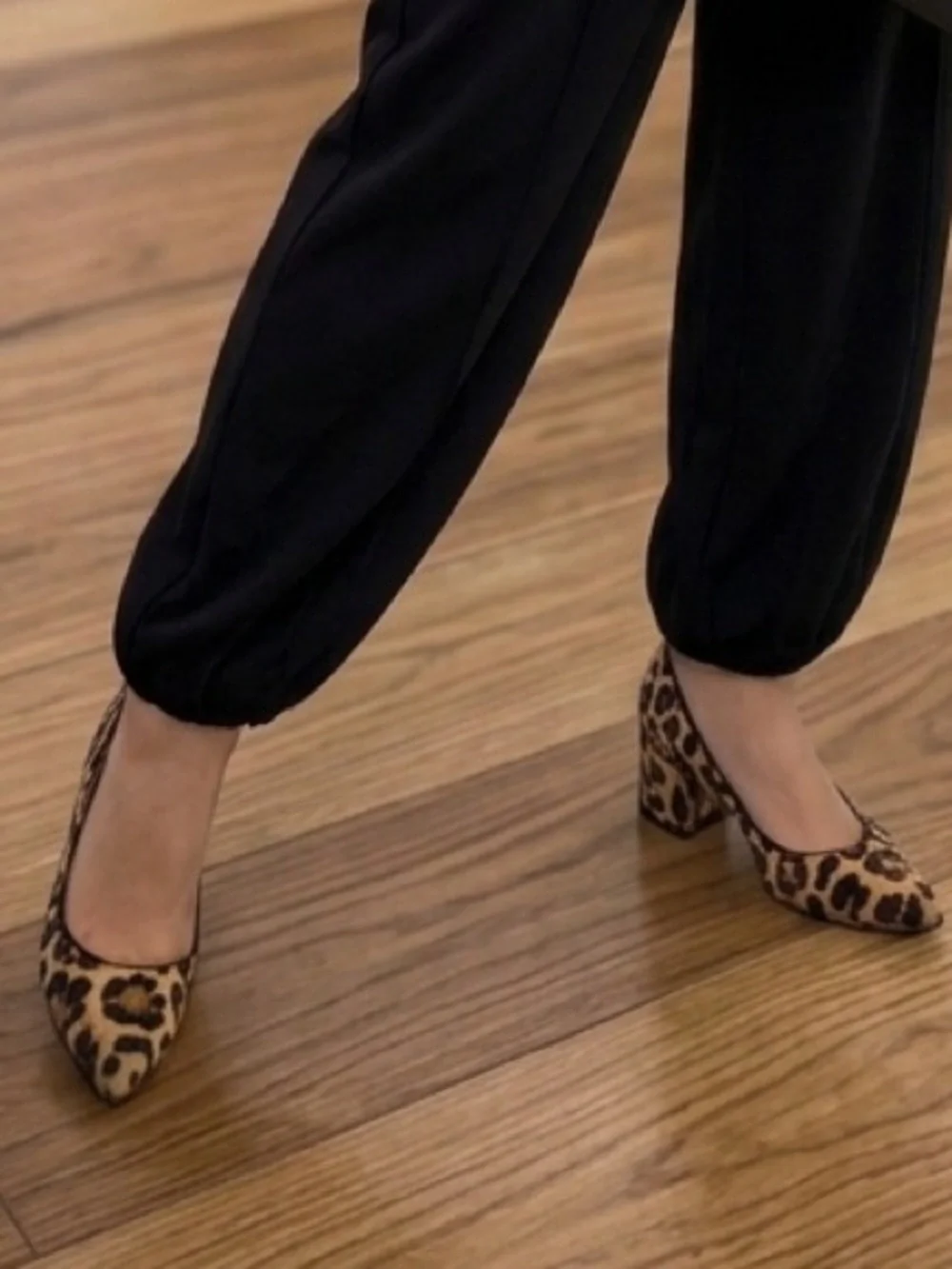 J. Crew Leopard Print Pointed-Toe Heels - Brown/Black Size 7‎